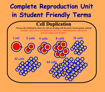 Preview of Health - Middle School - Reproduction Unit