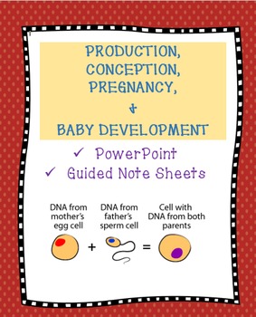 Preview of Health:  Production, Conception, Pregnancy, and Baby Development