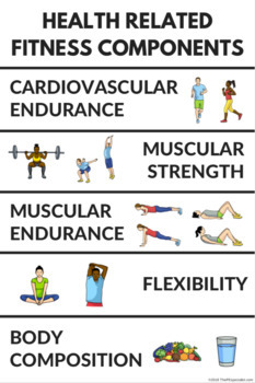 Health Related Components of Fitness Poster for PE Class (9 color  variations)
