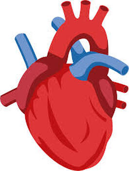 Preview of Health Unit- Cardiovascular Health