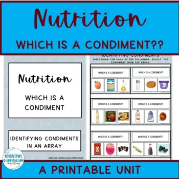 Preview of Health & Wellness Identifying Items That Are Condiments Printable Unit