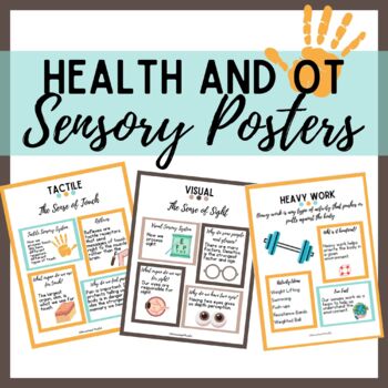 Preview of Health and OT Sensory Poster