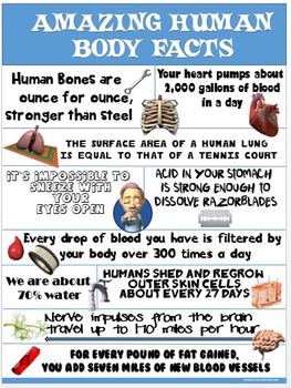 Preview of Health and Science Poster: Amazing Human Body Facts