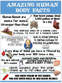 Health and Science Poster: Amazing Human Body Facts