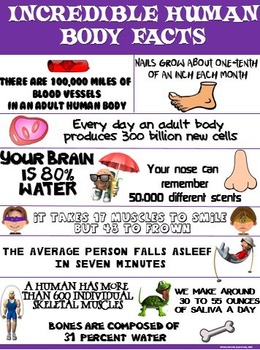 Preview of Health and Science Poster: Incredible Human Body Facts