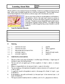 health and wellness worksheets by brilliance builders tpt