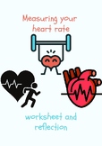 Health related fitness (heart rate/pulse)- Worksheet/Asses