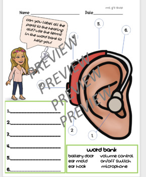 Preview of Hearing Aid CI Label Practice