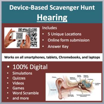 Preview of Hearing and the Human Ear – A Digital Scavenger Hunt Activity