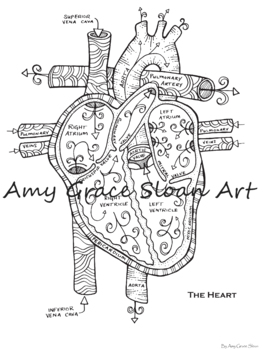 human heart coloring pages