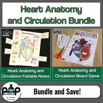 Preview of Heart Anatomy and Circulation Bundle