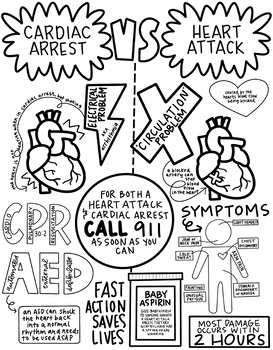 Preview of FIRST AID - Cardiac Arrest VS Heart Attack Coloring Sheet