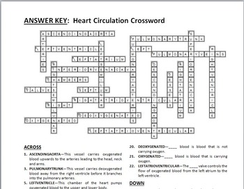 Heart Circulation - Crossword by Tangstar Science | TpT