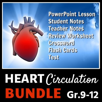 Preview of Heart Circulation BUNDLE