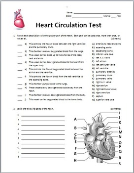 heart circulation test editable by tangstar science tpt