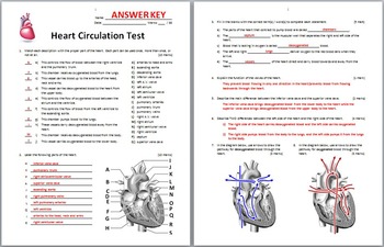 heart blood flow quiz
