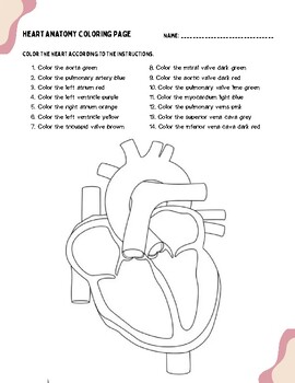 Heart Coloring Diagram by Melissa Horton | TPT