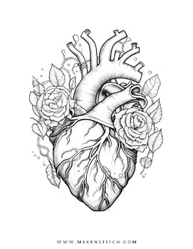 Preview of Heart Coloring Sheet (Anatomy & Physiology meets Tattoo Roses)