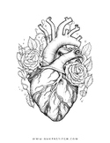Heart Coloring Sheet (Anatomy & Physiology meets Tattoo Roses)