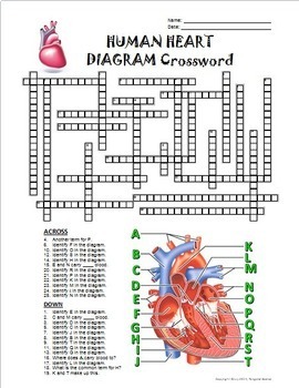 Heart Crossword with Diagram Printable Distance Learning Options