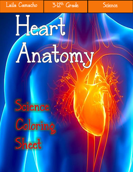 Preview of Heart Anatomy Craft