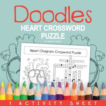 Heart Diagram Sketch Crossword Simple Crossword Puzzles Daily Crossword