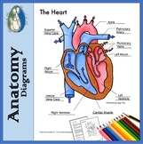 Heart Diagrams for Labeling and Coloring, With Reference C