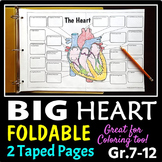 Heart Structure Foldable - Big Foldable for Interactive No