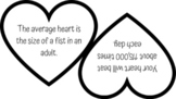 Heart Health Fun Facts Game and Bulletin Board