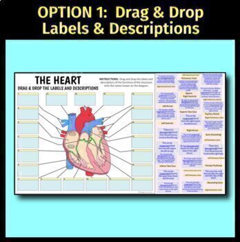 Purpose Games: Label the Heart Interactive for 9th - 10th Grade