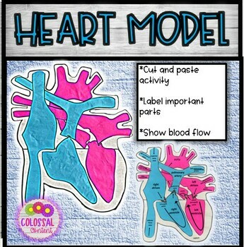 Preview of Heart Model