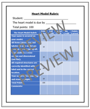 Preview of Heart Model (cross-section) - Detailed Instructions, Photos, and Rubric