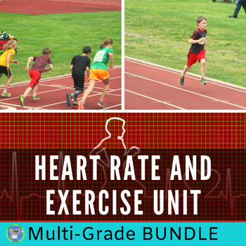 Preview of Heart Rate And Exercise Science And STEM | Multi Grade Bundle | Valentine's Day
