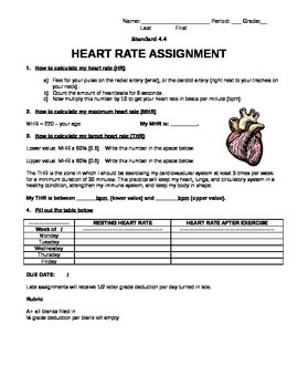 heart rate assignment answers
