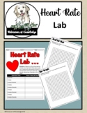 Graphing Heart Rates Lab Activity