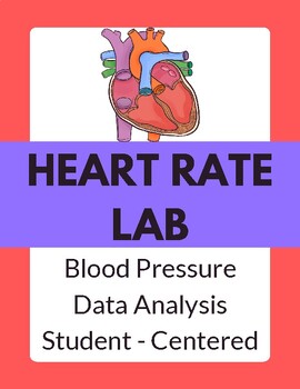 Preview of Heart Rate Lab