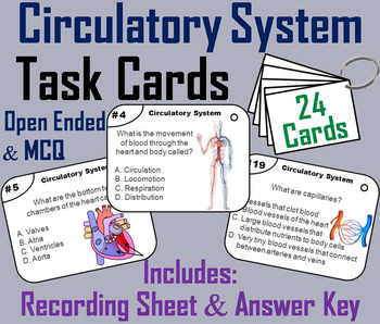 Preview of Heart/ Circulatory System Task Cards (Human Body Systems Activity: Anatomy)