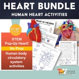 Heart and Circulatory System Unit Activities Bundle