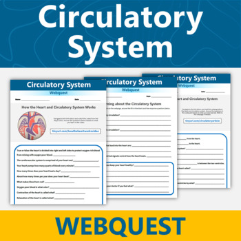 Preview of Heart and Circulatory System Webquest Human Body Systems Activity