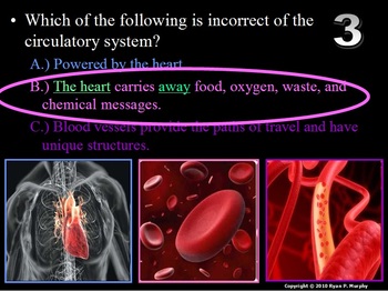 Preview of Heart, Blood, Circulatory System PowerPoint Quiz Game