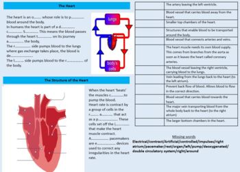 Preview of Heart worksheet differentiated and shaded for students with visual stress.