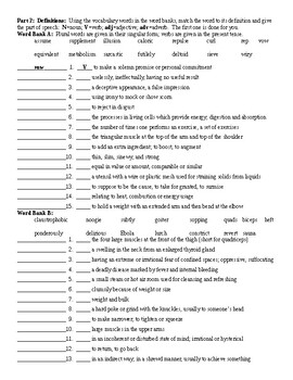 Heartbeat by David You Vocabulary Worksheets and KEY by Lonnie Jones Taylor