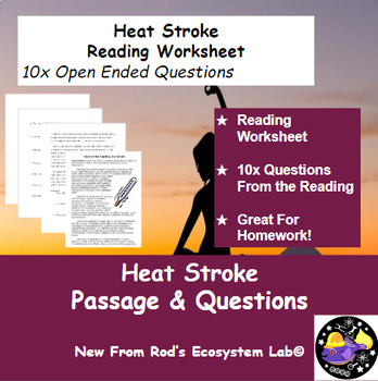 Preview of Heat Stroke Reading Worksheet **Editable**