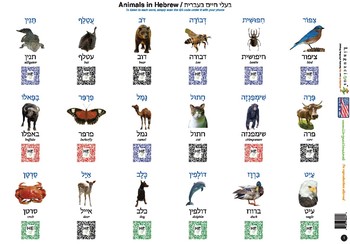 Preview of Hebrew Animals and Common Home Objects (108 images with spelling and audio)