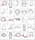 Hebrew Body Bingo Game