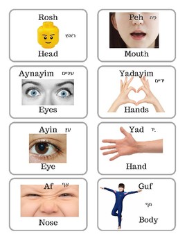 Preview of Hebrew Vocabulary Cards: Body Parts