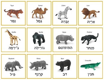 Preview of Hebrew Wild Animals - matching game, memory game, and more!
