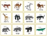 Hebrew Wild Animals - matching game, memory game, and more!