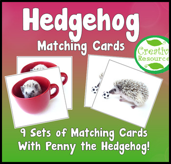 Preview of Hedgehog Matching Cards