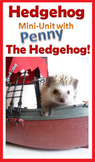 Hedgehog biology mini-unit lesson plan